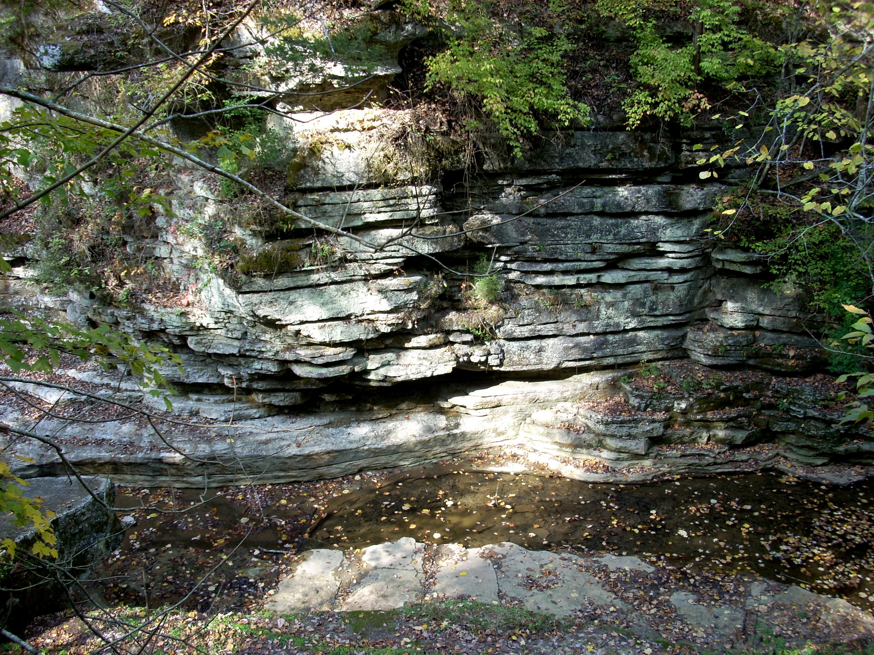 Raven Run Hiking Red Trail